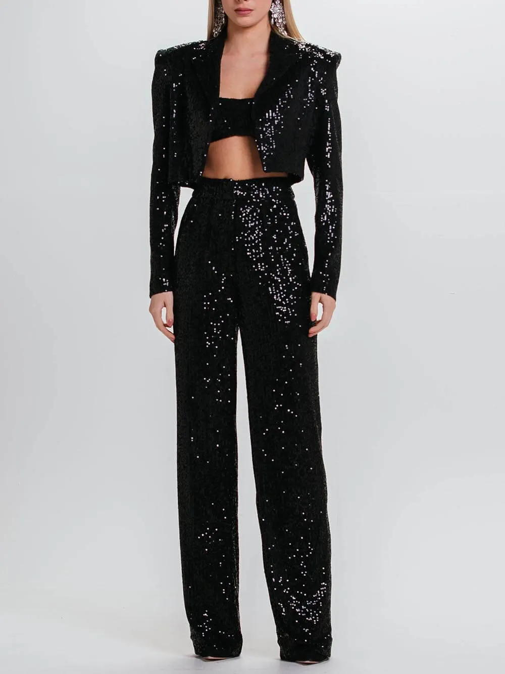 Classic Fashion Short Style Sequin Blazer